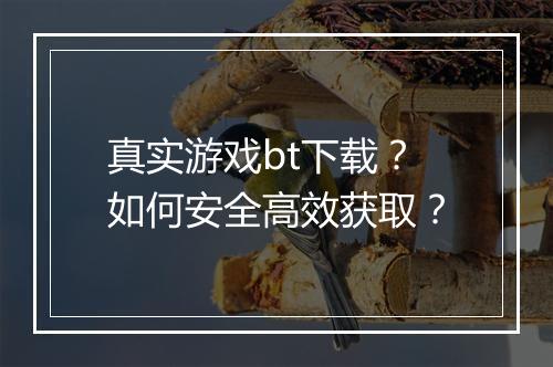 真实游戏bt下载?如何安全高效获取?