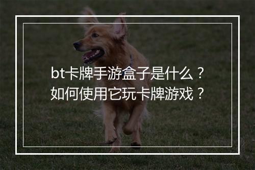 bt卡牌手游盒子是什么？如何使用它玩卡牌游戏？