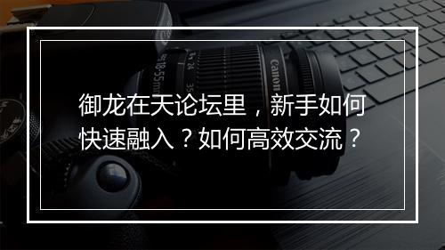 御龙在天论坛里，新手如何快速融入？如何高效交流？