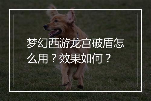 梦幻西游龙宫破盾怎么用？效果如何？