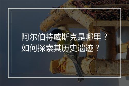 阿尔伯特威斯克是哪里？如何探索其历史遗迹？