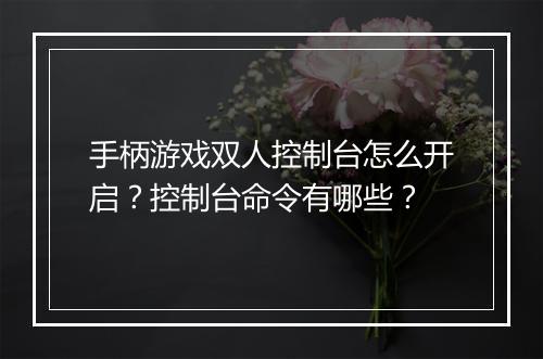 手柄游戏双人控制台怎么开启？控制台命令有哪些？