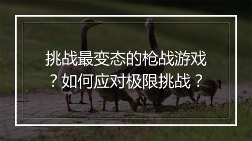 挑战最变态的枪战游戏?如何应对极限挑战?