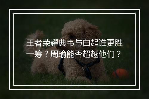 王者荣耀典韦与白起谁更胜一筹？周瑜能否超越他们？
