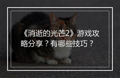 《消逝的光芒2》游戏攻略分享？有哪些技巧？