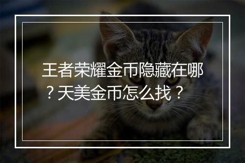 王者荣耀金币隐藏在哪？天美金币怎么找？