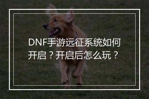 DNF手游远征系统如何开启？开启后怎么玩？