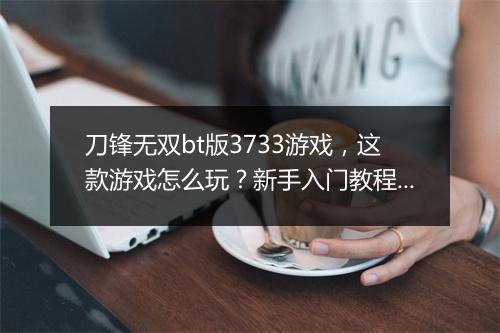 刀锋无双bt版3733游戏,这款游戏怎么玩?新手入门教程?