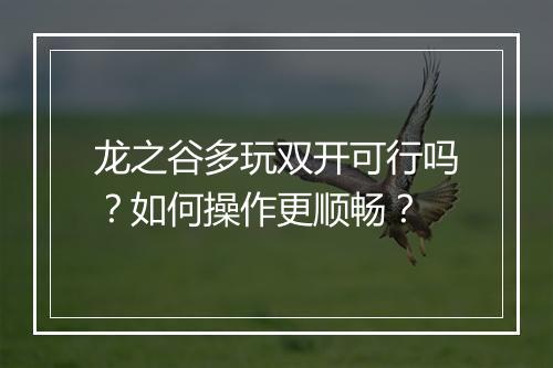 龙之谷多玩双开可行吗？如何操作更顺畅？