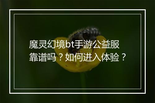魔灵幻境bt手游公益服靠谱吗?如何进入体验?