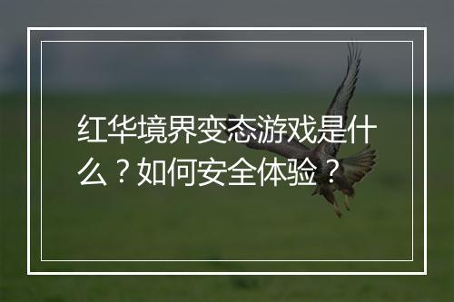 红华境界变态游戏是什么？如何安全体验？