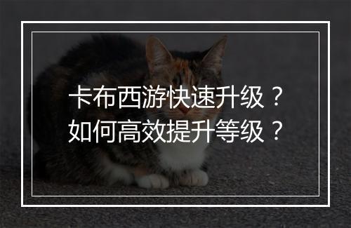 卡布西游快速升级？如何高效提升等级？
