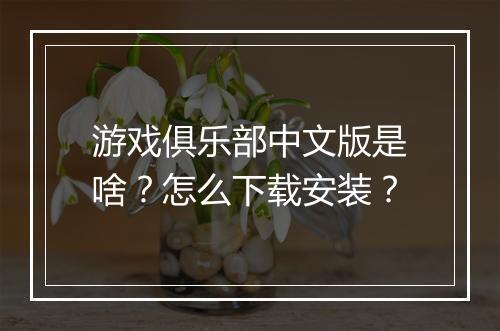 游戏俱乐部中文版是啥？怎么下载安装？
