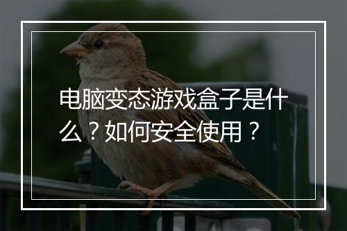 电脑变态游戏盒子是什么？如何安全使用？