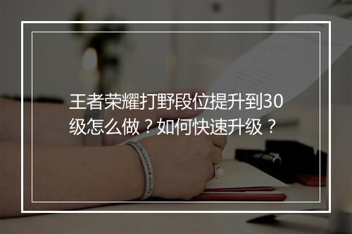 王者荣耀打野段位提升到30级怎么做？如何快速升级？