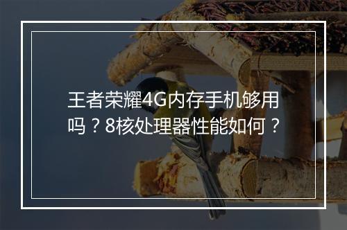 王者荣耀4G内存手机够用吗？8核处理器性能如何？