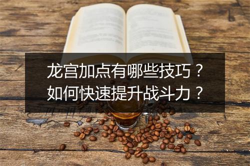 龙宫加点有哪些技巧？如何快速提升战斗力？
