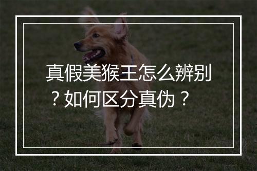 真假美猴王怎么辨别？如何区分真伪？