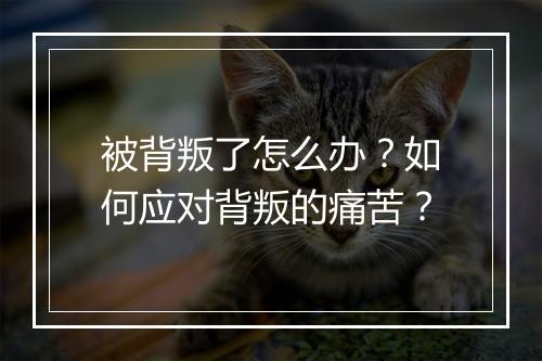 被背叛了怎么办？如何应对背叛的痛苦？