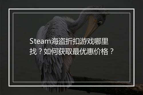 Steam海盗折扣游戏哪里找?如何获取最优惠价格?