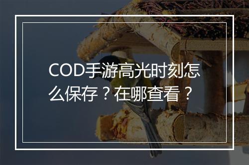 COD手游高光时刻怎么保存？在哪查看？