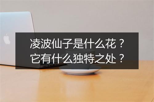 凌波仙子是什么花？它有什么独特之处？