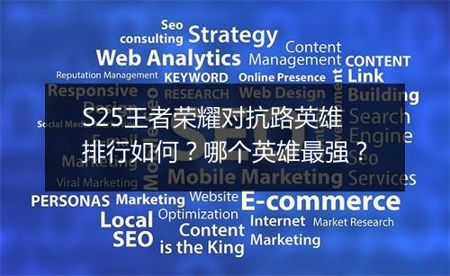 S25王者荣耀对抗路英雄排行如何？哪个英雄最强？