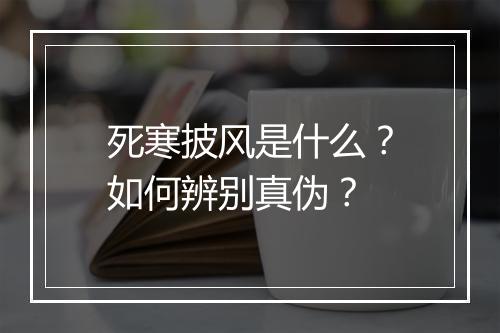 死寒披风是什么？如何辨别真伪？