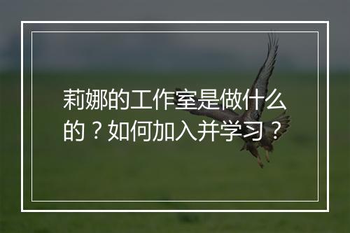 莉娜的工作室是做什么的?如何加入并学习?