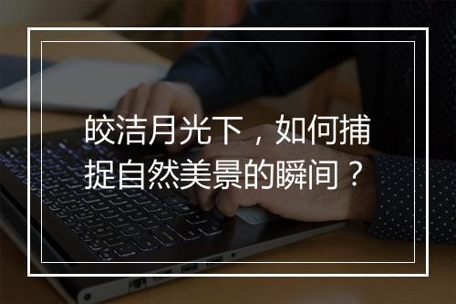 皎洁月光下，如何捕捉自然美景的瞬间？