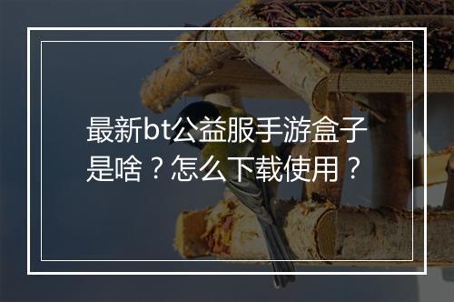 最新bt公益服手游盒子是啥?怎么下载使用?