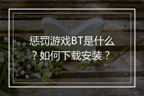 惩罚游戏BT是什么?如何下载安装?