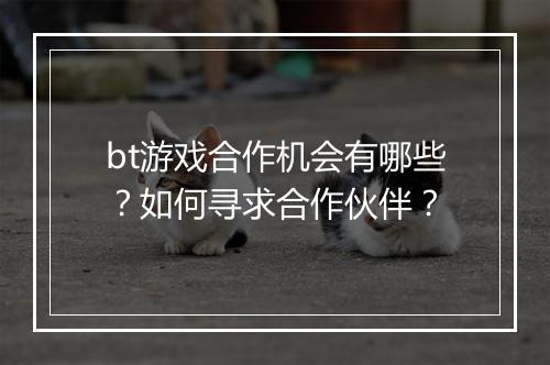 bt游戏合作机会有哪些？如何寻求合作伙伴？