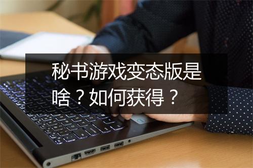 秘书游戏变态版是啥?如何获得?