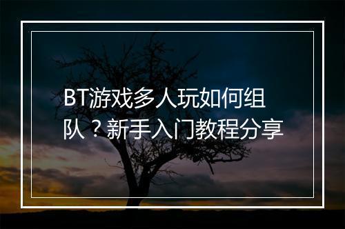 BT游戏多人玩如何组队？新手入门教程分享