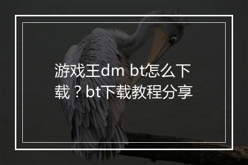 游戏王dm bt怎么下载?bt下载教程分享