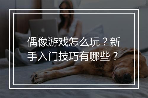 偶像游戏怎么玩？新手入门技巧有哪些？