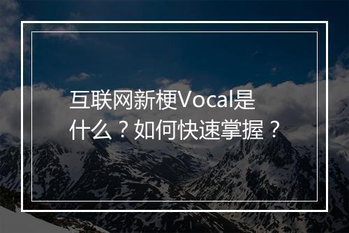 互联网新梗Vocal是什么？如何快速掌握？