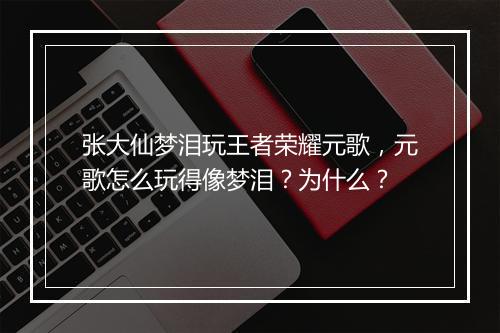 张大仙梦泪玩王者荣耀元歌，元歌怎么玩得像梦泪？为什么？