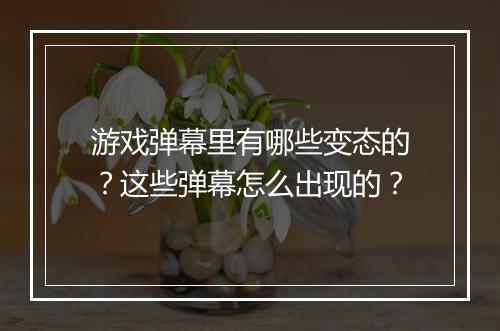 游戏弹幕里有哪些变态的？这些弹幕怎么出现的？