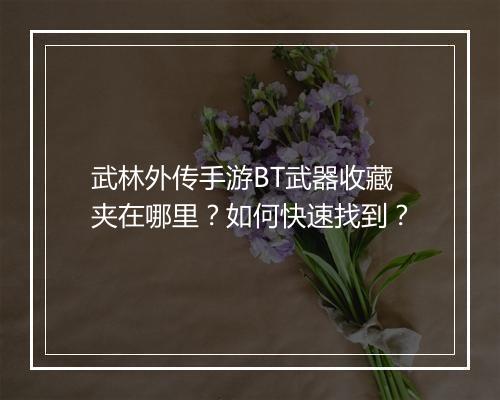 武林外传手游BT武器收藏夹在哪里?如何快速找到?