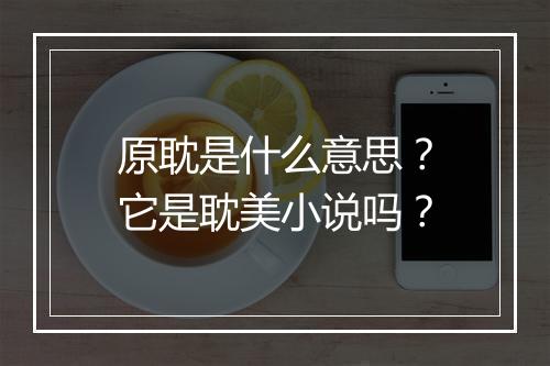 原耽是什么意思?它是耽美小说吗?