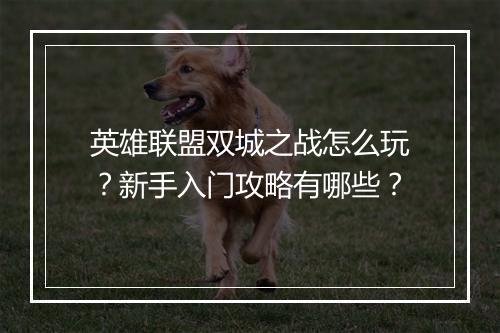 英雄联盟双城之战怎么玩?新手入门攻略有哪些?