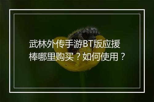 武林外传手游BT版应援棒哪里购买？如何使用？