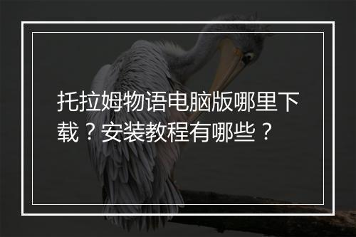托拉姆物语电脑版哪里下载?安装教程有哪些?