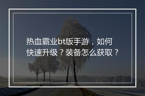 热血霸业bt版手游,如何快速升级?装备怎么获取?
