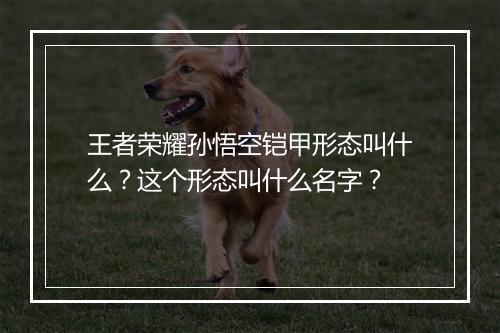 王者荣耀孙悟空铠甲形态叫什么？这个形态叫什么名字？