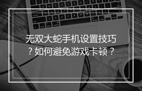 无双大蛇手机设置技巧？如何避免游戏卡顿？
