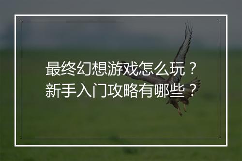 最终幻想游戏怎么玩？新手入门攻略有哪些？