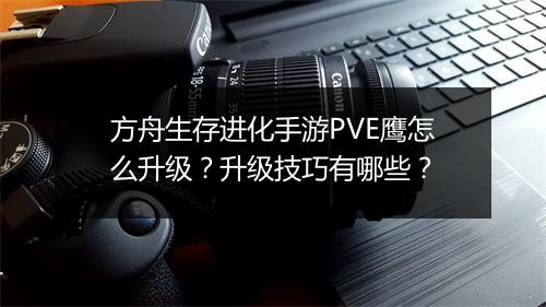 方舟生存进化手游PVE鹰怎么升级？升级技巧有哪些？
